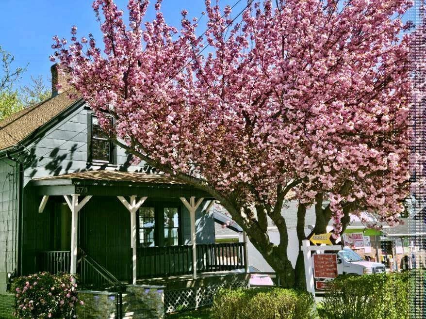571 Winter Street Woonsocket, RI 02895 - Photo 1 of 36