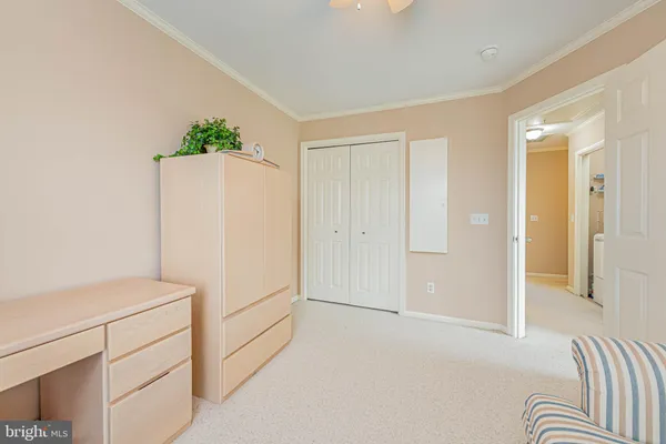 a bathroom with a shower sink vanity and mirror
