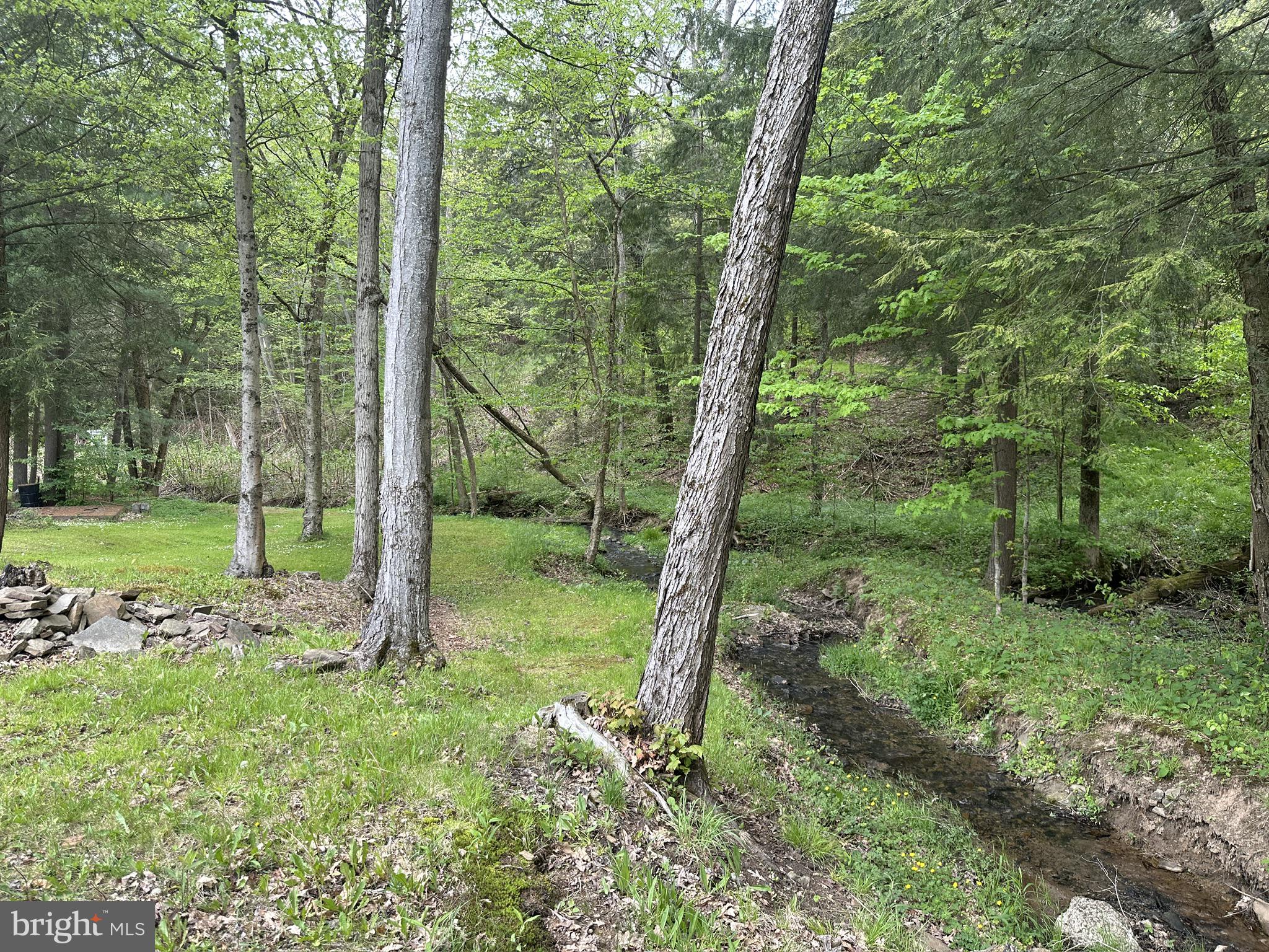 111 Rob Roy Road Bradford, PA 16701 - Photo 9 of 41 Serene woodland with a gentle stream.