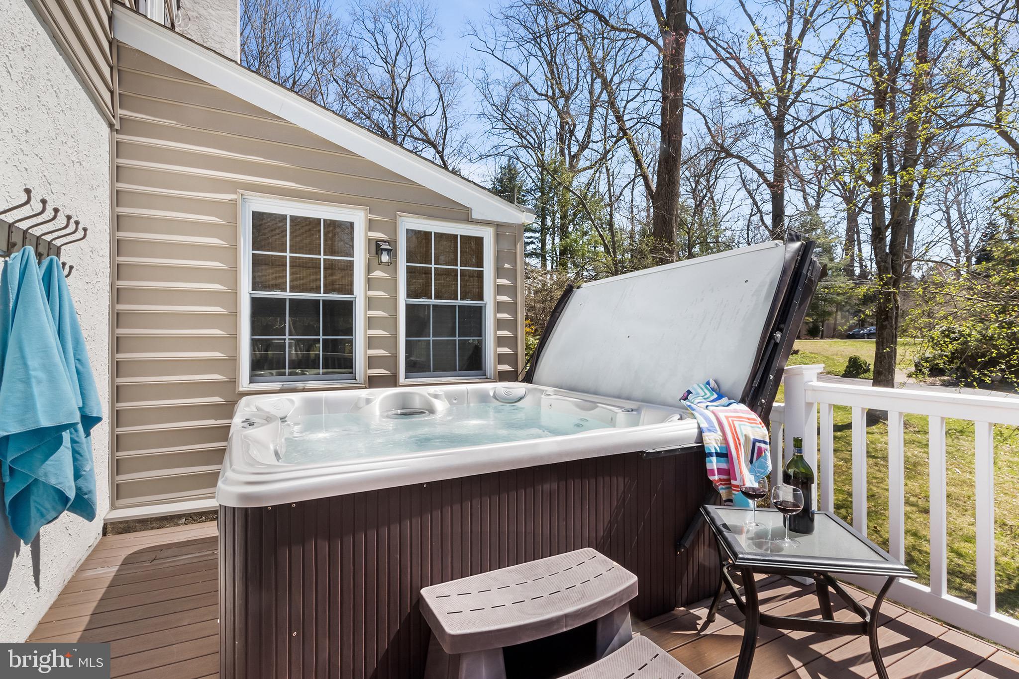 478 Nob Hill Road Devon, PA 19333 - Photo 16 of 55 Hot Tub