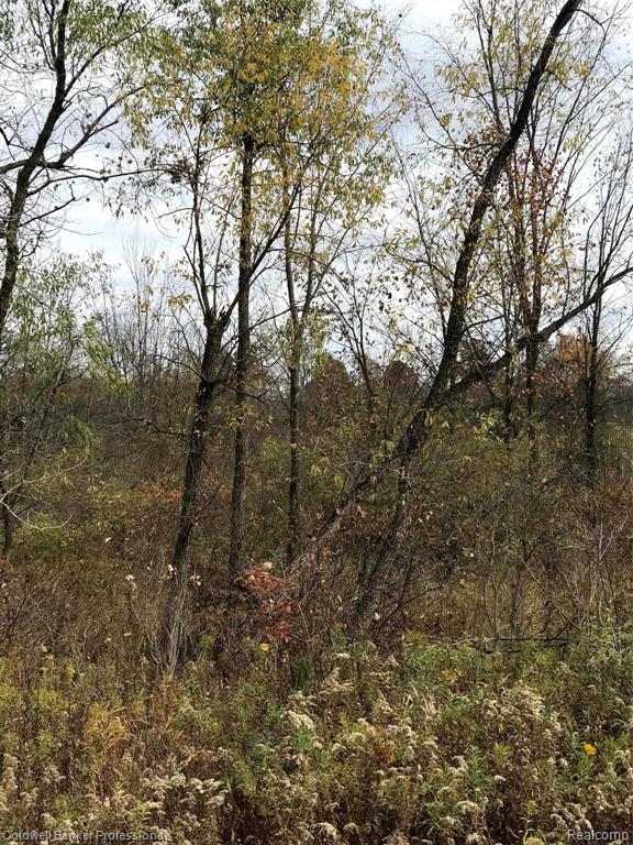 0 Faussett- Parcel 1 2 & 3 Road Fenton, MI 48430 - Photo 11 of 13 Gallery Image 11