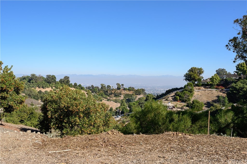 4 Poppy Trail Rolling Hills, CA 90274 - Photo 14 of 22 a view of a yard