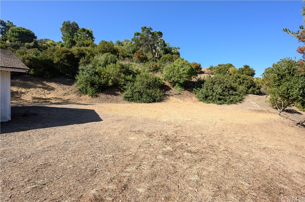 4 Poppy Trail Rolling Hills, CA 90274 - Photo 17 of 22 a view of a yard with a tree