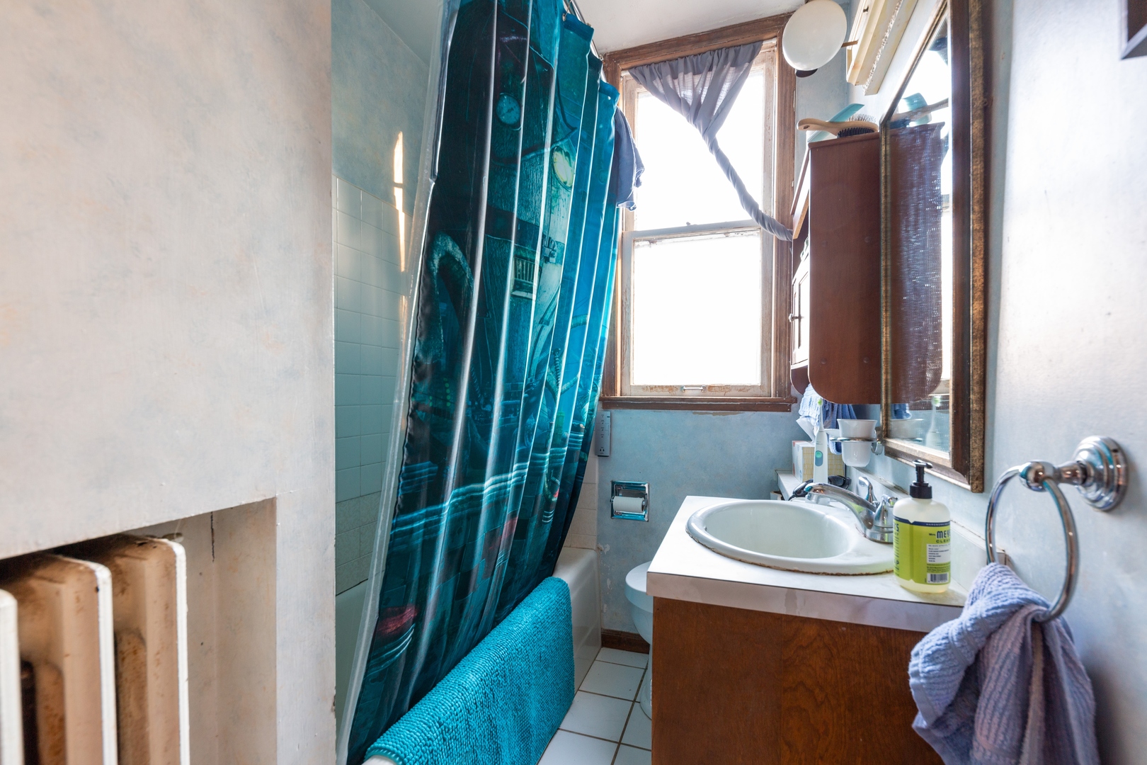 870 Half Day Road Highland Park, IL 60035 - Photo 10 of 10 a bathroom with a sink a mirror and a bathtub