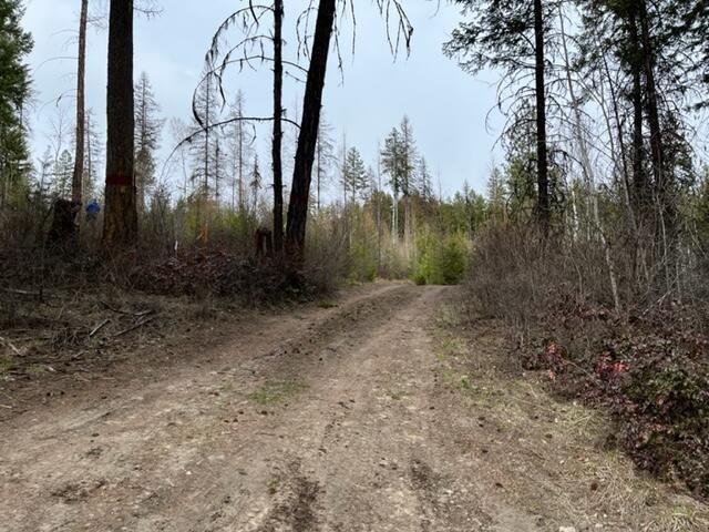 24-xx Widow Road Colville, WA 99114 - Photo 2 of 14