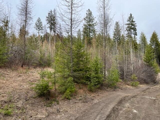 24-xx Widow Road Colville, WA 99114 - Photo 3 of 14