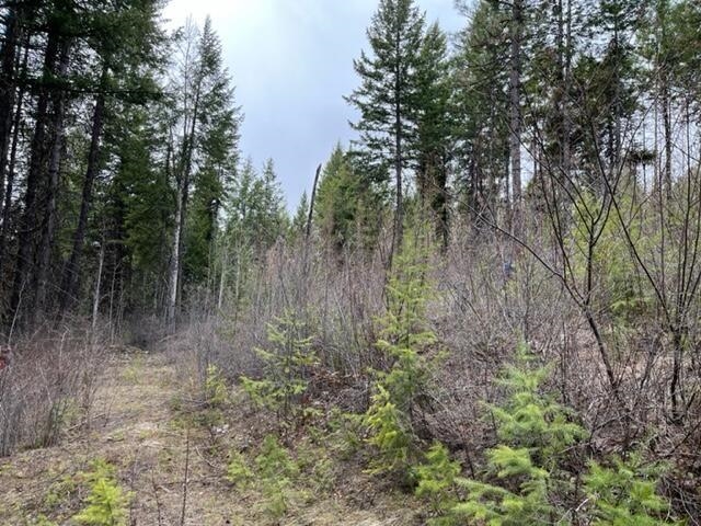 24-xx Widow Road Colville, WA 99114 - Photo 4 of 14