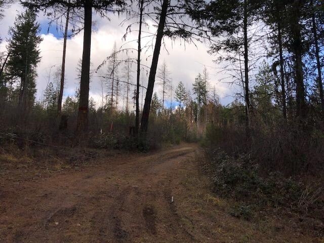 24-xx Widow Road Colville, WA 99114 - Photo 6 of 14