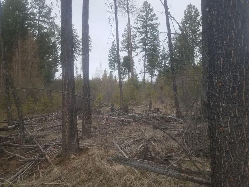 24-xx Widow Road Colville, WA 99114 - Photo 10 of 14