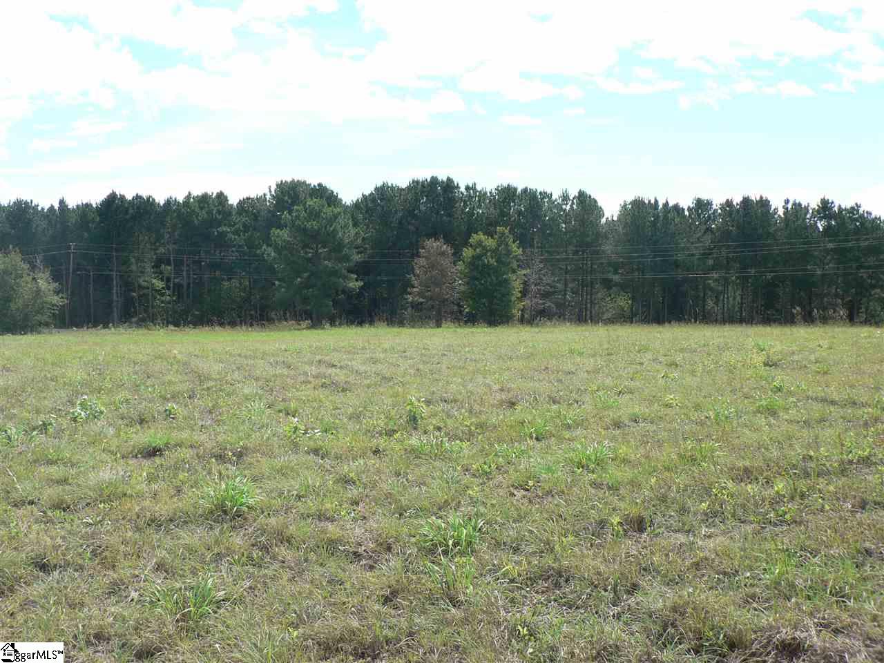 0 Thomas Mill Road, Unit LOT 6 Easley, SC 29640 - Photo 2 of 8