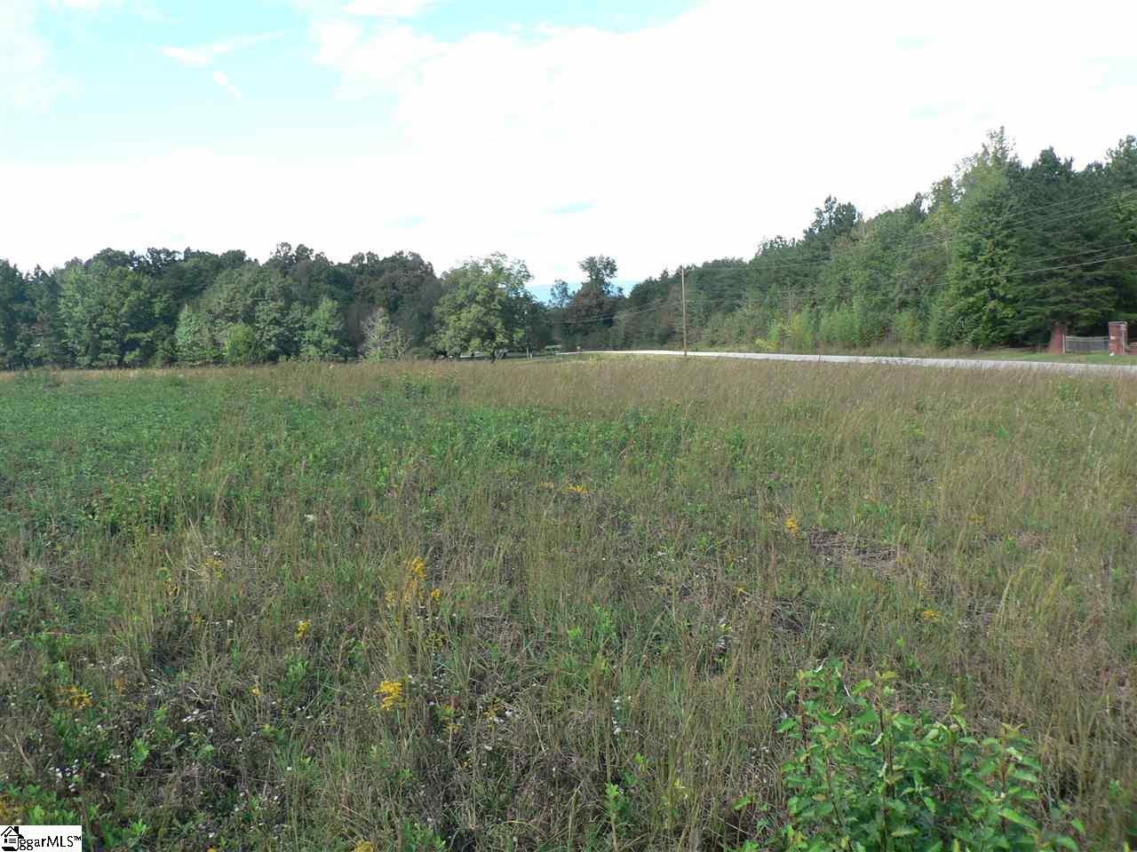 0 Thomas Mill Road, Unit LOT 6 Easley, SC 29640 - Photo 3 of 8