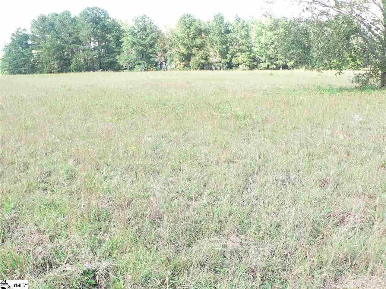 0 Thomas Mill Road, Unit LOT 6 Easley, SC 29640 - Photo 6 of 8