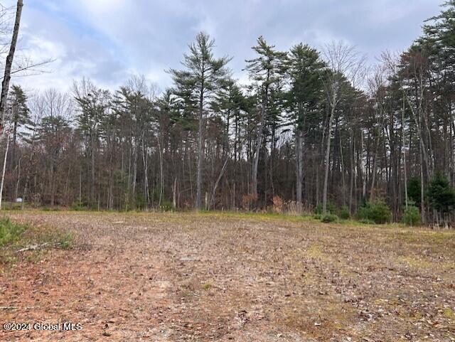 76 South Shore Road Providence, NY 12134 - Photo 3 of 9 thumbnail_IMG_9842