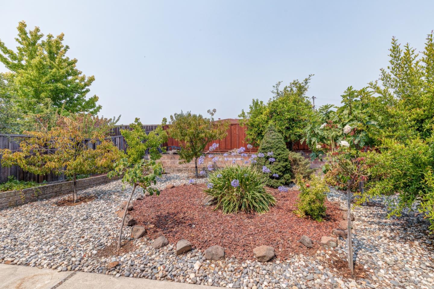 2479 Longview Drive San Leandro, CA 94577 - Photo 39 of 57 a backyard with plants and tree