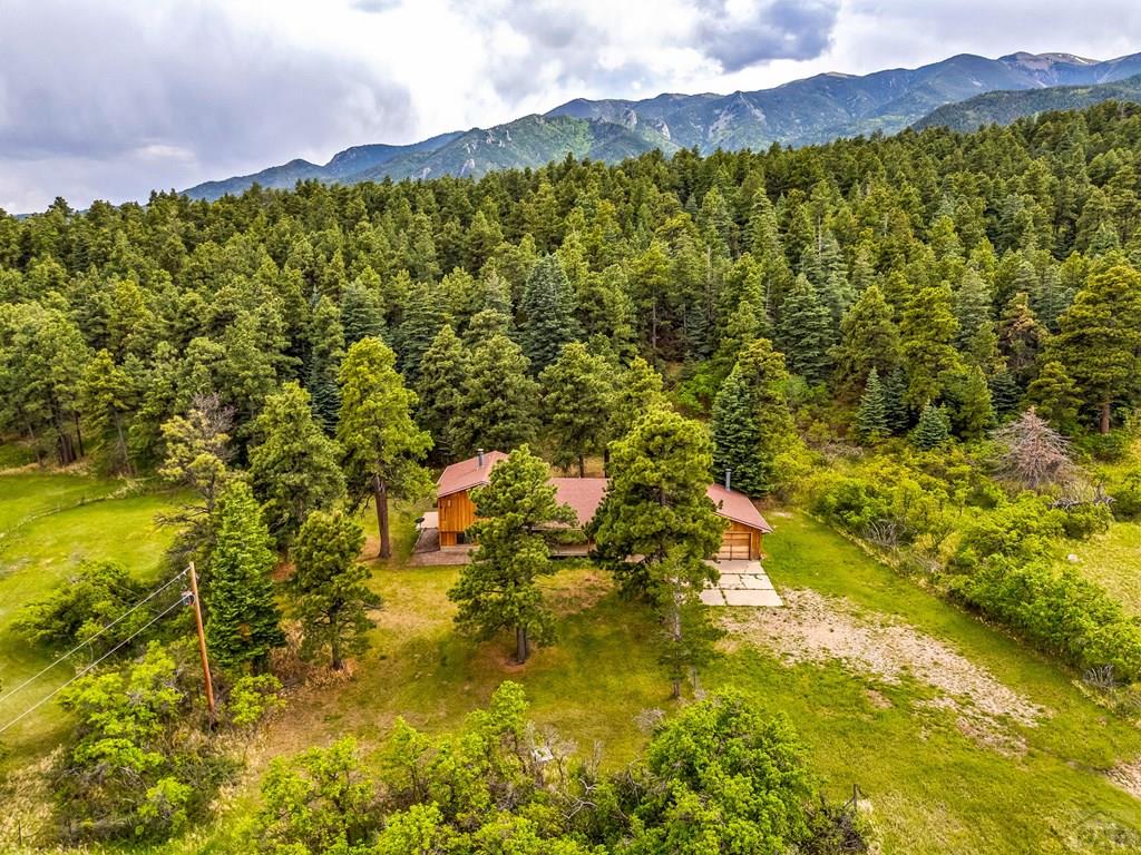8486 Highway 165 Rye, CO 81069 - Photo 2 of 60