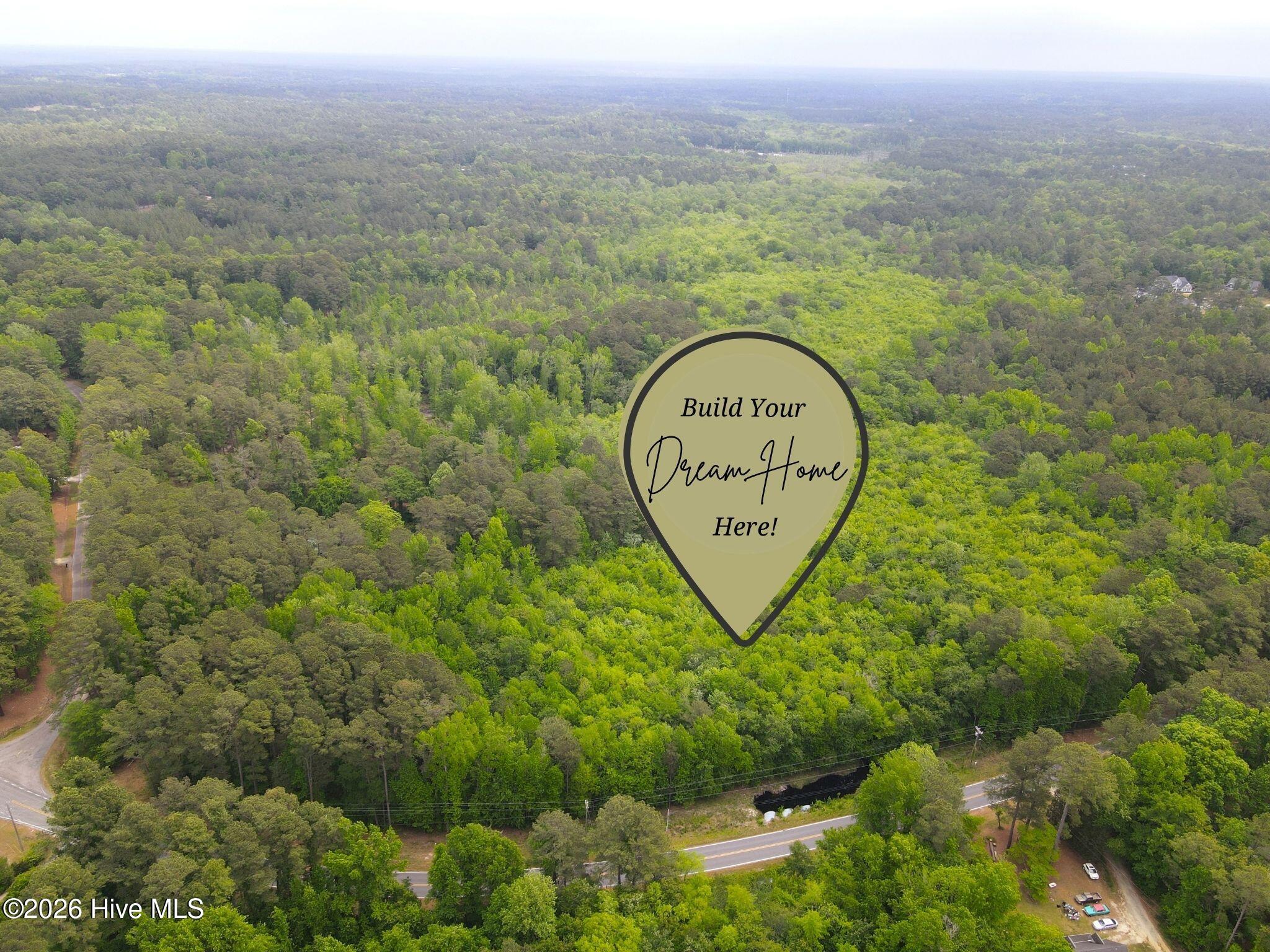 Tbd Murdocksville Road West End, NC 27376 - Photo 1 of 9 2