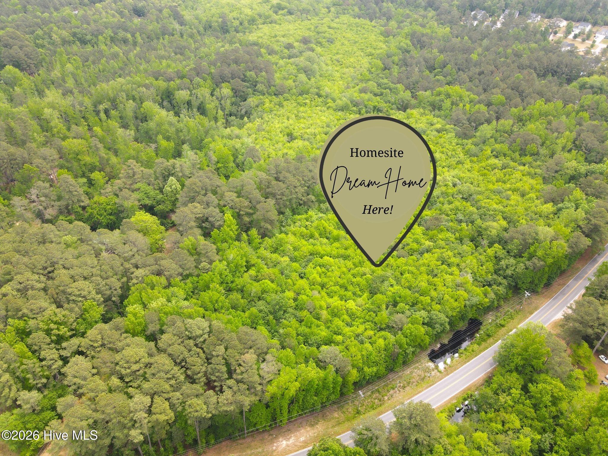 Tbd Murdocksville Road West End, NC 27376 - Photo 3 of 9 1