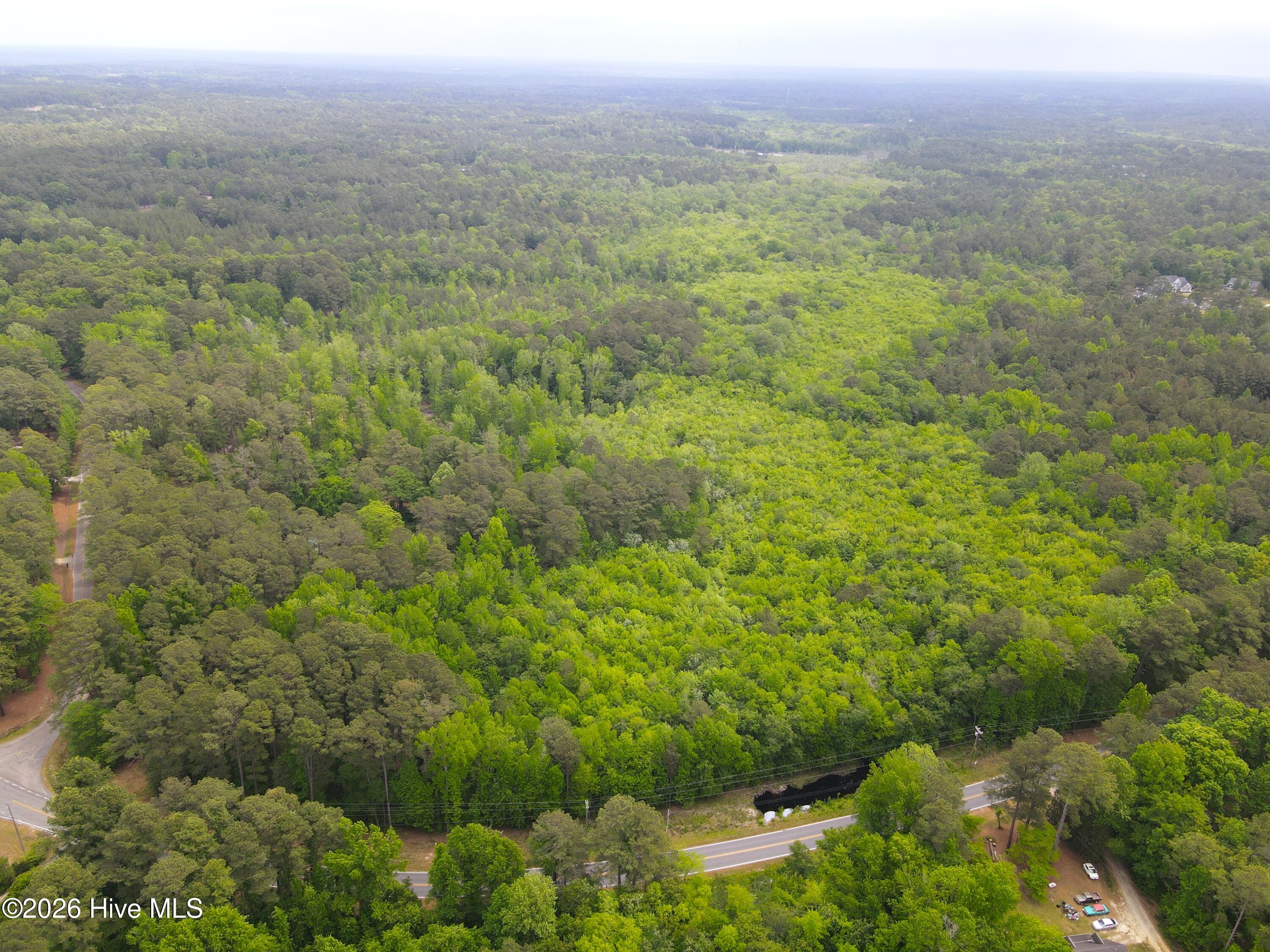 Tbd Murdocksville Road West End, NC 27376 - Photo 7 of 9 dji_fly_20260429_121228_354_177747916229