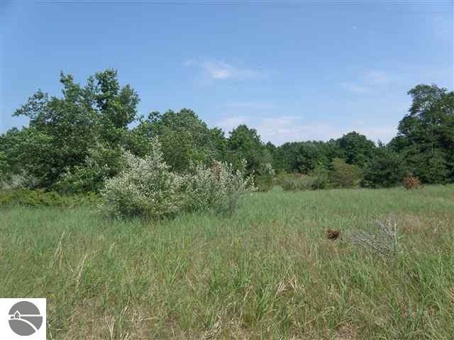 0 Graves Road, Unit LOT: A Copemish, MI 49625 - Photo 11 of 11
