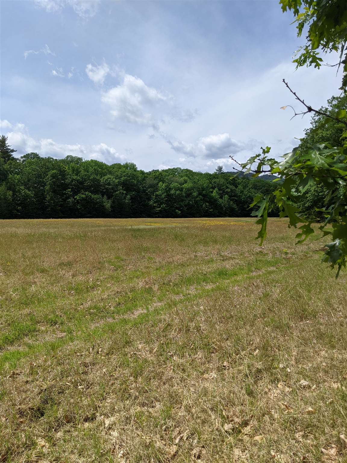 638 West Side Road, Unit 100 Bartlett, NH 03860 - Photo 11 of 24