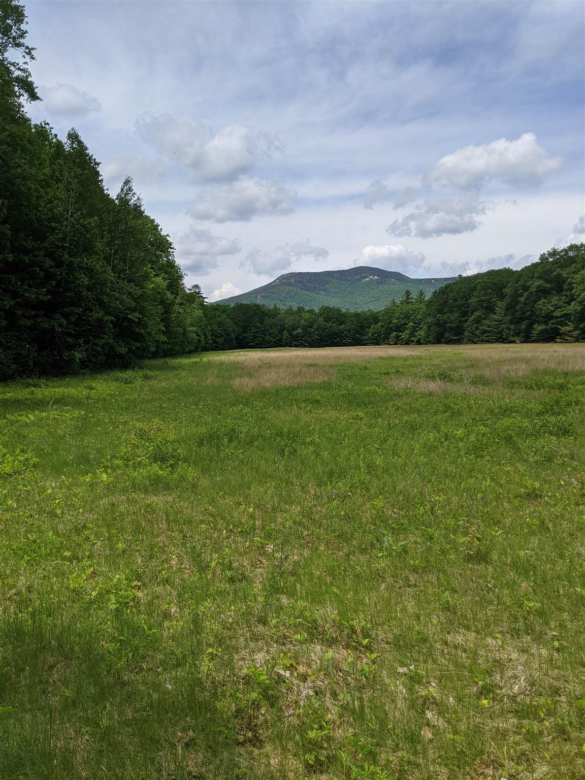 638 West Side Road, Unit 100 Bartlett, NH 03860 - Photo 8 of 24