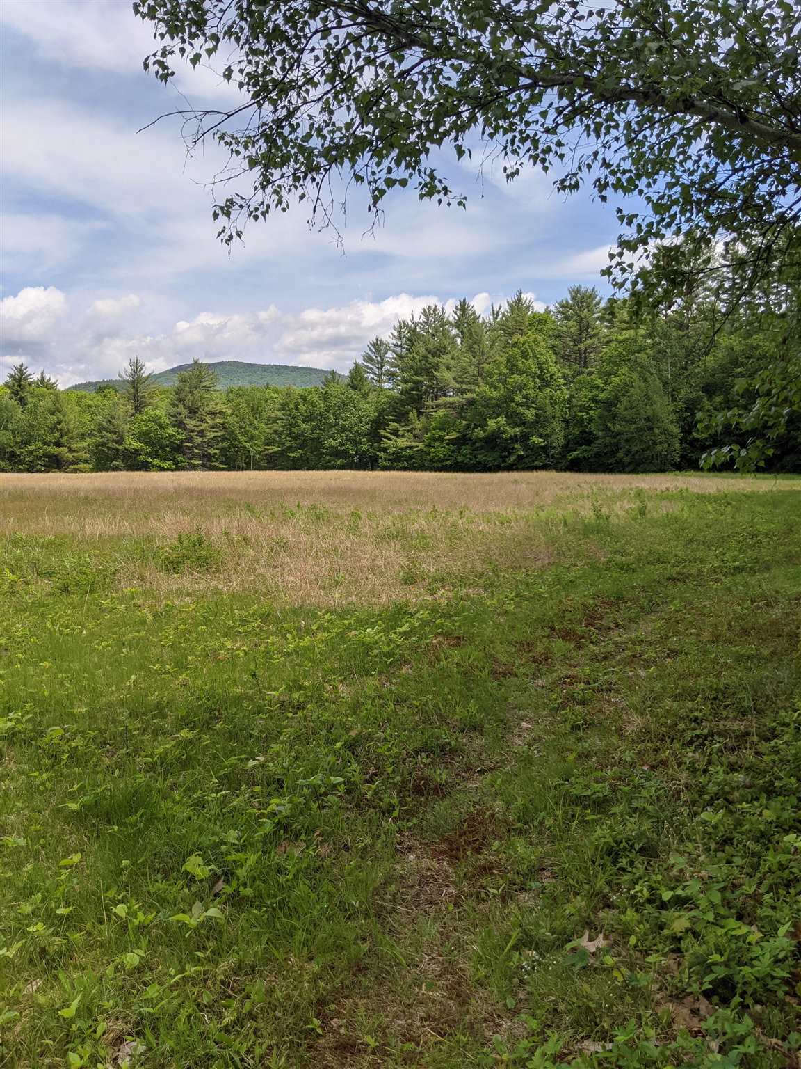 638 West Side Road, Unit 100 Bartlett, NH 03860 - Photo 9 of 24