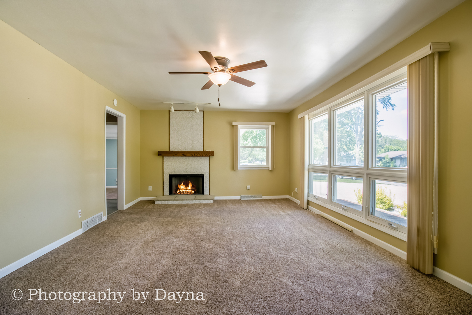 6 Park Place Kankakee, IL 60901 - Photo 13 of 36 a view of an empty room with window and fire place