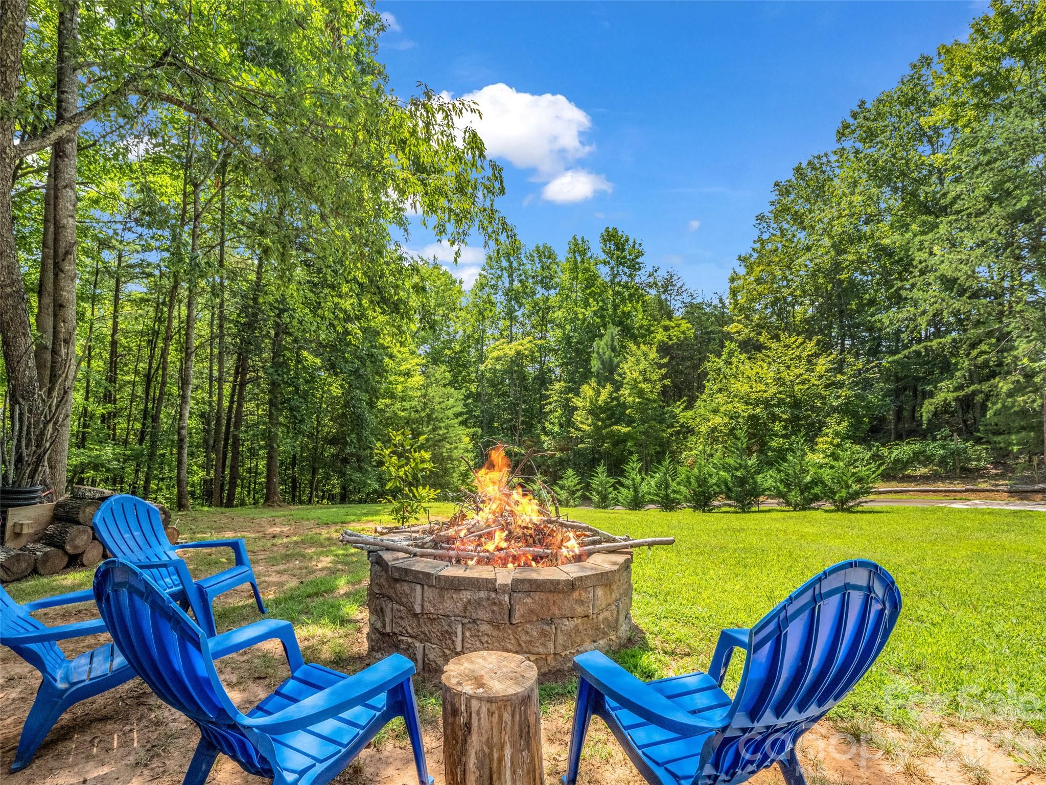 479 Camp Hill Road Mill Spring, NC 28756 - Photo 30 of 48