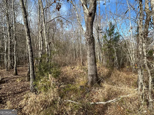 a view of a yard with plants and trees