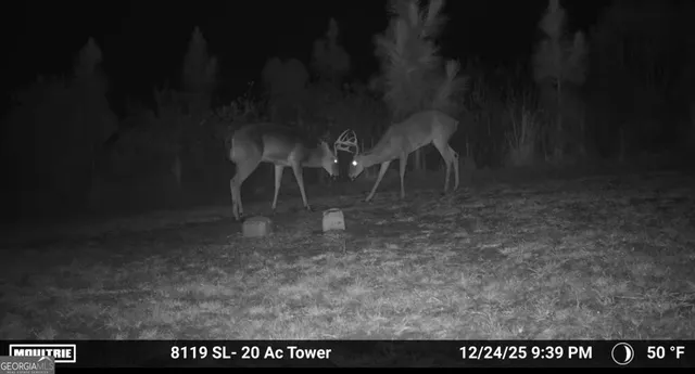 a view of outdoor space