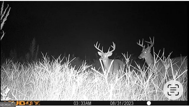 a view of furniture and floor to ceiling window