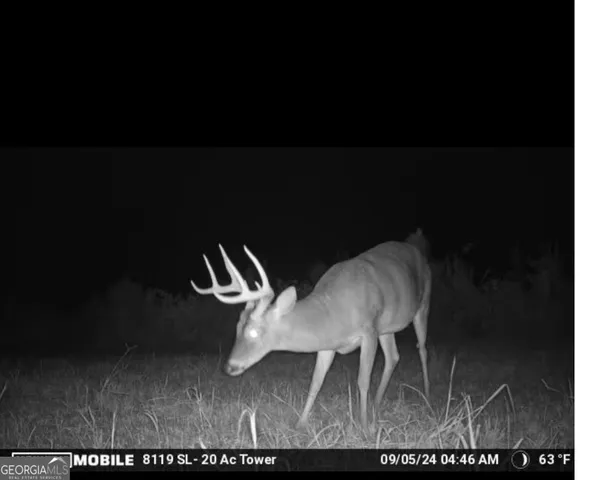 a view of swimming pool from a lake view