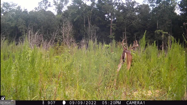 a view of a backyard of the house