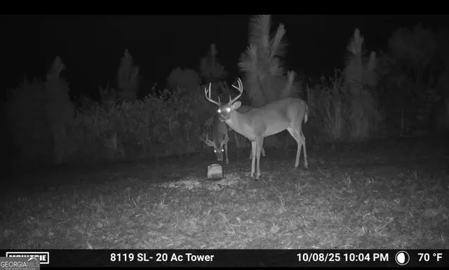 a view of a chairs and table in a room