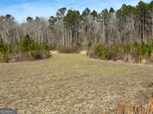 a view of a yard with trees