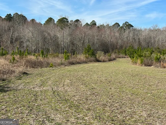 a view of a pathway with a garden