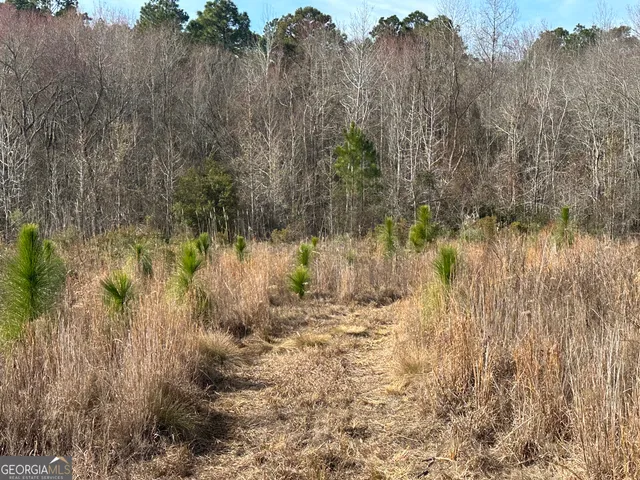a view of a lake with a yard and trees all around