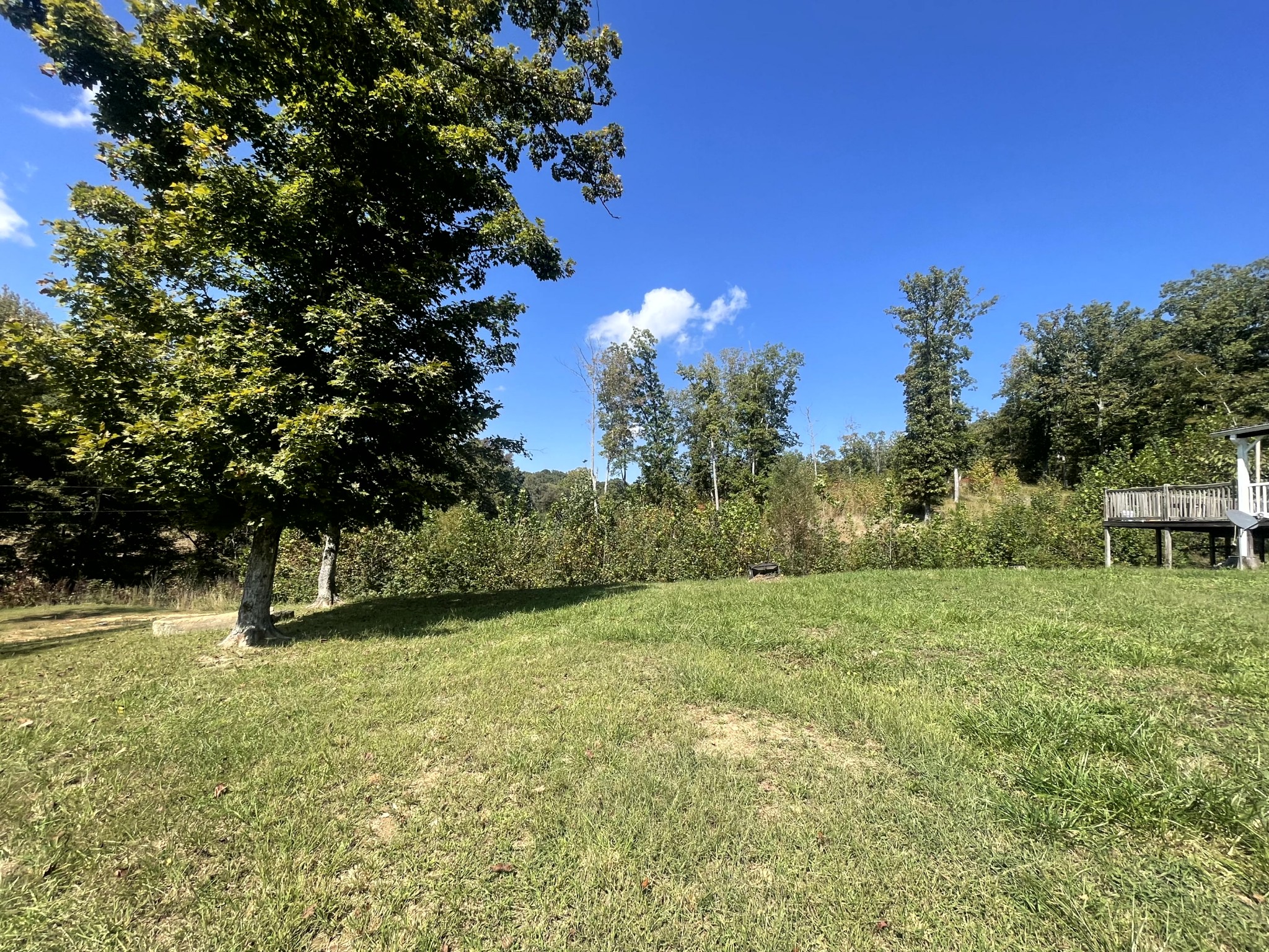 10156 Old Dover Road Cadiz, KY 42211 - Photo 19 of 23 Gallery Image 19