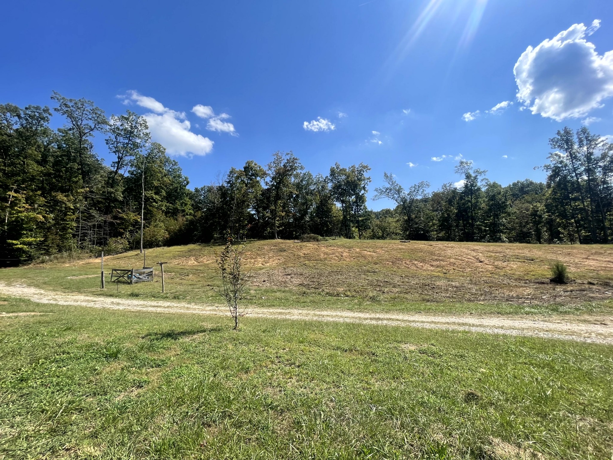 10156 Old Dover Road Cadiz, KY 42211 - Photo 20 of 23 Gallery Image 20