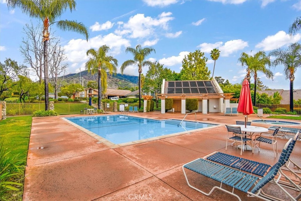 1263 Citrus Street Upland, CA 91784 - Photo 14 of 16 a view of a swimming pool with lounge chairs in patio