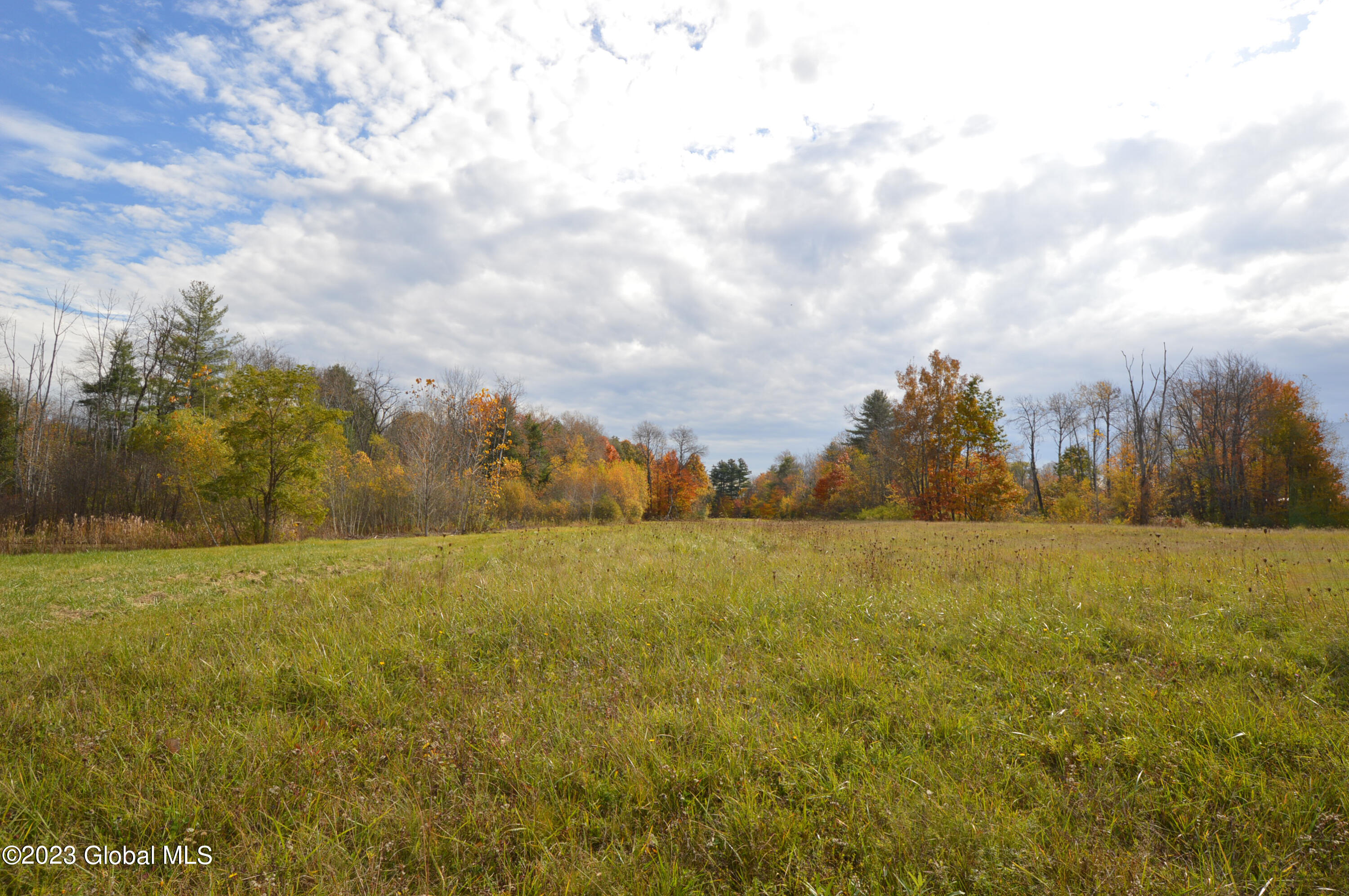 L4 Seneca Ridge Drive Broadalbin, NY 12025 - Photo 2 of 10 DSC_0613