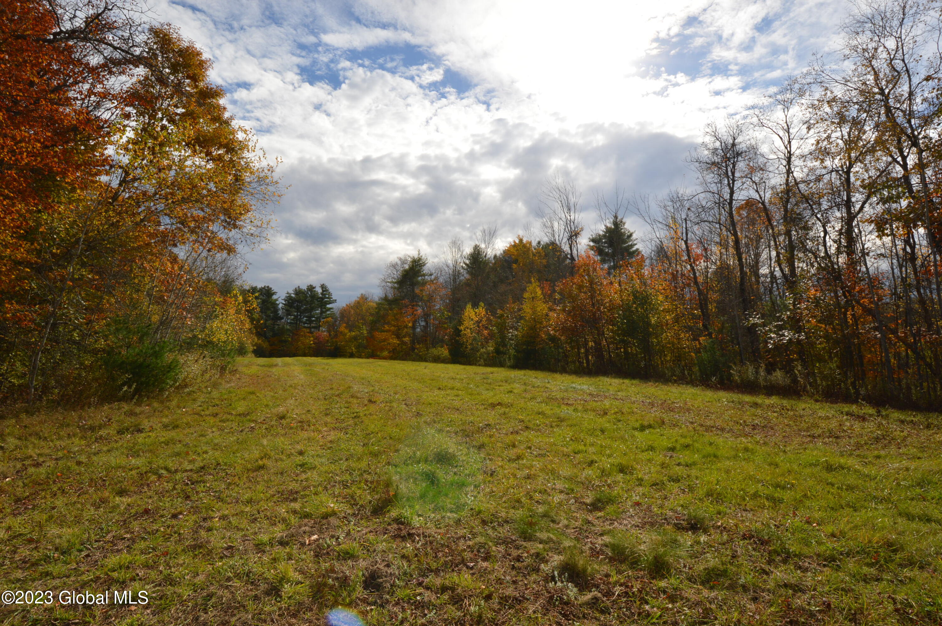 L4 Seneca Ridge Drive Broadalbin, NY 12025 - Photo 4 of 10 DSC_0615