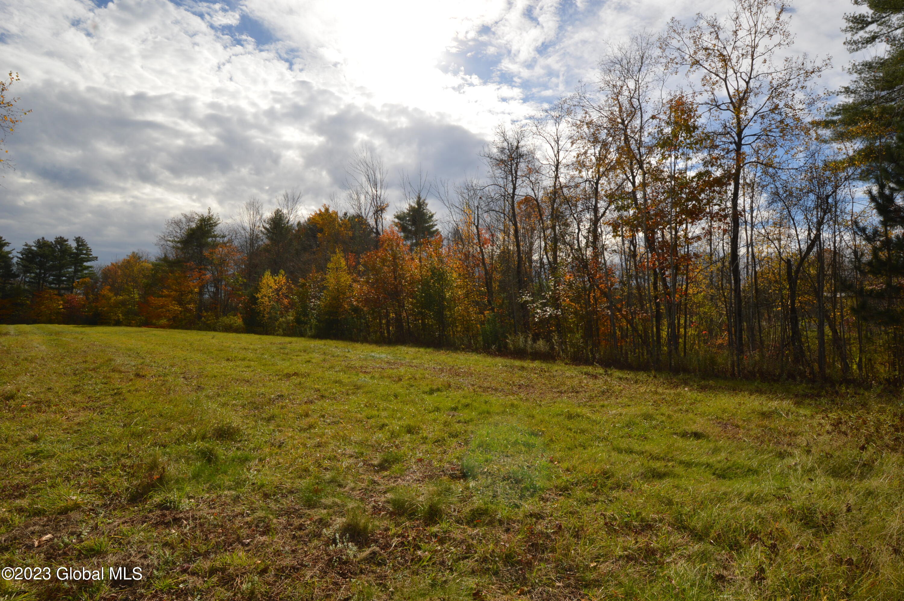 L4 Seneca Ridge Drive Broadalbin, NY 12025 - Photo 5 of 10 DSC_0616