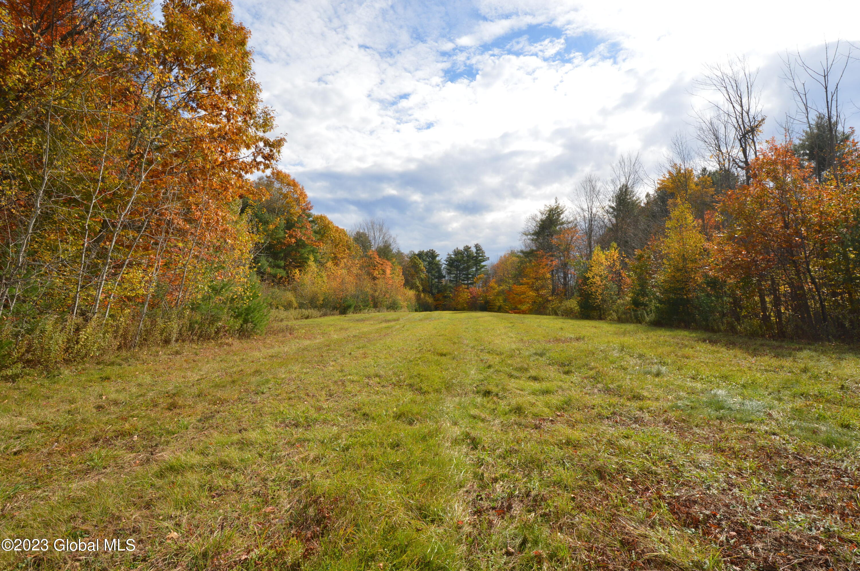 L4 Seneca Ridge Drive Broadalbin, NY 12025 - Photo 7 of 10 DSC_0618