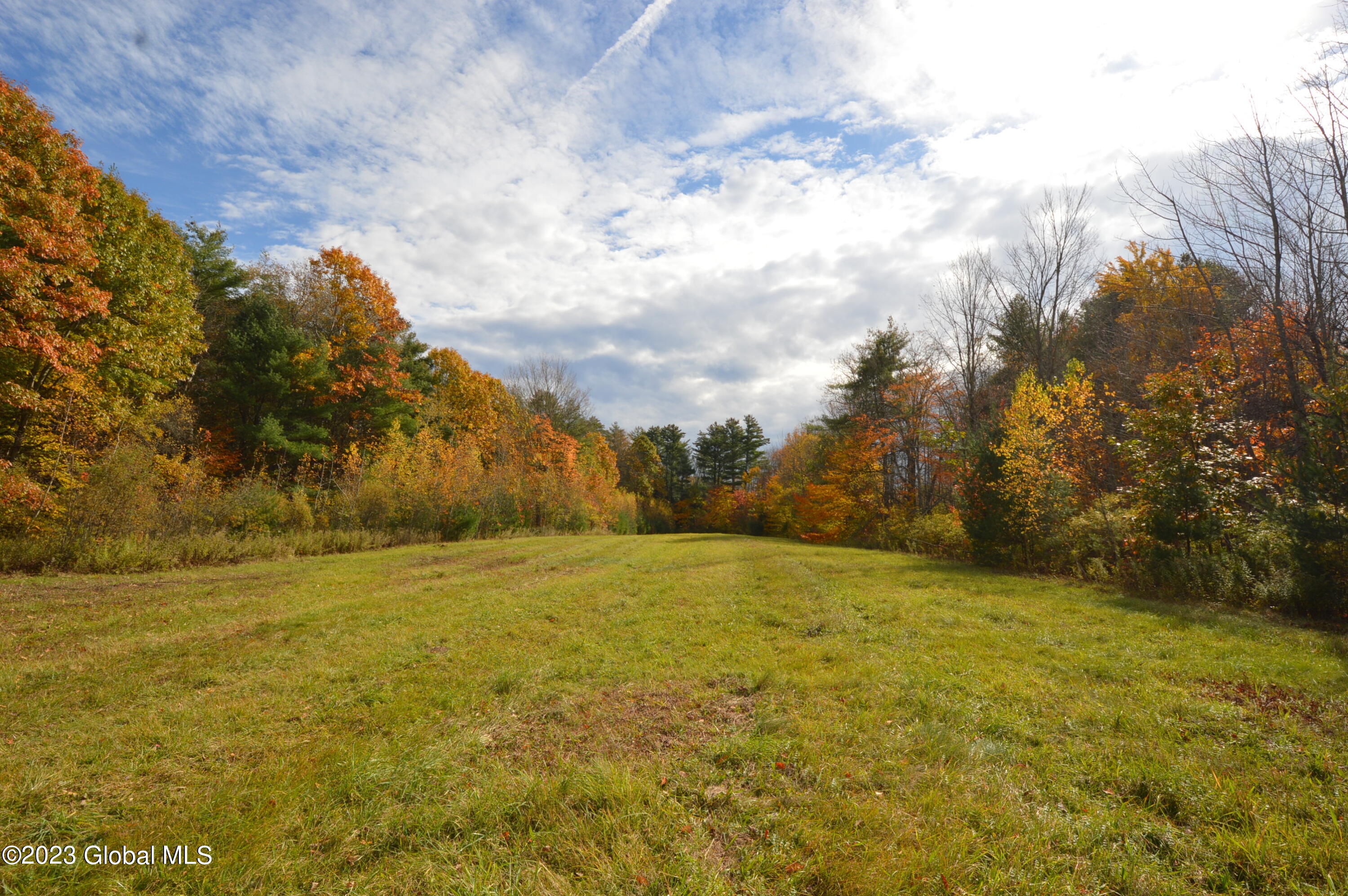L4 Seneca Ridge Drive Broadalbin, NY 12025 - Photo 8 of 10 DSC_0619