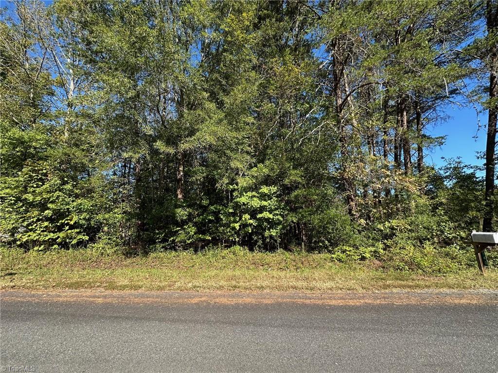 Lot 3 Reed Loop Madison, NC 27025 - Photo 4 of 6