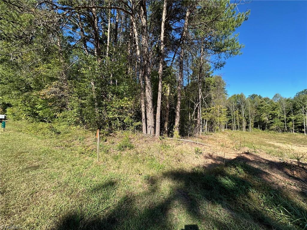 Lot 3 Reed Loop Madison, NC 27025 - Photo 6 of 6