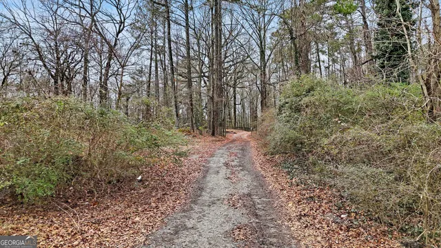 a view of a yard with plants and large trees