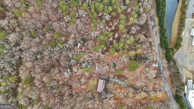 a close up of a plant