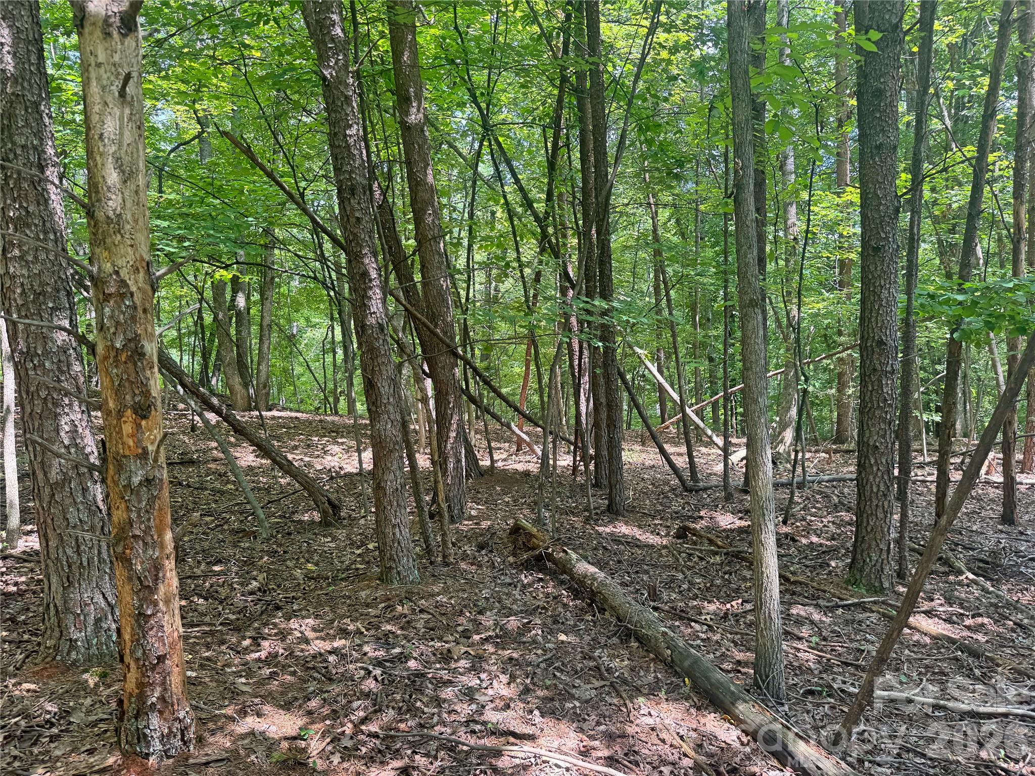 173 Croom Hollow Road Nebo, NC 28761 - Photo 43 of 44